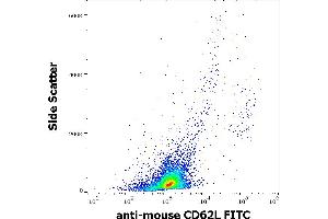 Flow cytometry surface staining pattern of murine splenocyte suspension stained using anti-mouse CD62L (Mel-14) FITC antibody (concentration in sample 9 μg/mL).