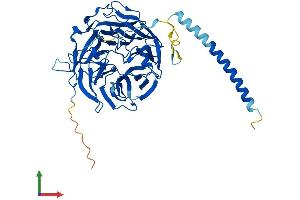 AlphaFold protein structure predicition of Mouse Recombinant Coro2b Protein, UniprotID Q8BH44