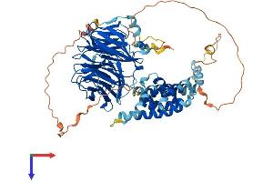 AlphaFold protein structure predicition of Human Recombinant KATNB1 Protein, UniprotID Q9BVA0