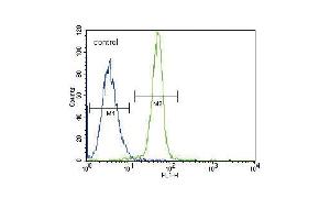 Leptin Receptor (LEPR) Antibody (N-term) (ABIN390093 and ABIN2840609) flow cytometric analysis of K562 cells (right histogram) compared to a negative control cell (left histogram).
