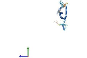AlphaFold protein structure predicition of Human Recombinant CEP55 Protein, UniprotID Q53EZ4