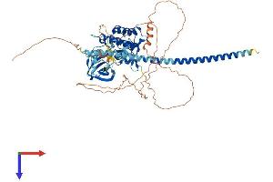 AlphaFold protein structure predicition of Human Recombinant MAP3K7 Protein, UniprotID O43318