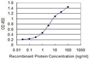 Detection limit for recombinant GST tagged CYP26B1 is 0.