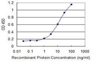 anti-SH3-Domain GRB2-Like 1 (SH3GL1) (AA 1-368) antibody