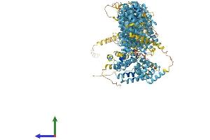 AlphaFold protein structure predicition of Mouse Recombinant Fanca Protein, UniprotID Q9JL70