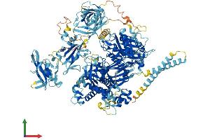 AlphaFold protein structure predicition of Human Recombinant PLCG2 Protein, UniprotID P16885