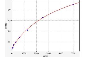 Typical standard curve (CD300LB Kit ELISA)