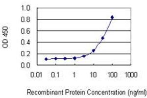 Detection limit for recombinant GST tagged LPIN1 is 1 ng/ml as a capture antibody.