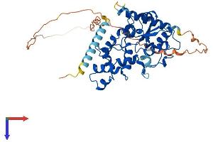 AlphaFold protein structure predicition of Human Recombinant CHST8 Protein, UniprotID Q9H2A9