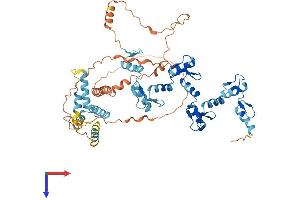 AlphaFold protein structure predicition of Human Recombinant ZKSCAN8 Protein, UniprotID Q15776