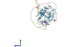 AlphaFold protein structure predicition of Human Recombinant ZNF671 Protein, UniprotID Q8TAW3