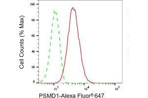anti-Proteasome (Prosome, Macropain) 26S Subunit, Non-ATPase, 1 (PSMD1) antibody