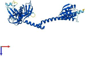 AlphaFold protein structure predicition of Mouse Recombinant Aarsd1 Protein, UniprotID Q3THG9