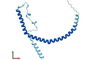 AlphaFold protein structure predicition of Human Recombinant CAV3 Protein, UniprotID P56539