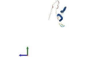 AlphaFold protein structure predicition of Mouse Recombinant Krt17 Protein, UniprotID Q9QWL7