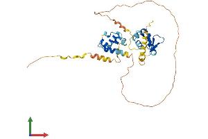 AlphaFold protein structure predicition of Human Recombinant ETV7 Protein, UniprotID Q9Y603