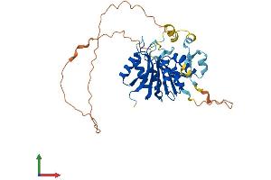AlphaFold protein structure predicition of Mouse Recombinant Mettl18 Protein, UniprotID Q9CZ09