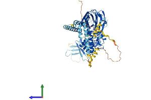 AlphaFold protein structure predicition of Mouse Recombinant Scnn1b Protein, UniprotID Q9WU38