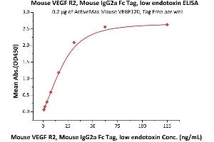 Immobilized Mouse VEGF120, Tag Free (ABIN2181897,ABIN2693605,ABIN3071749) at 2 μg/mL (100 μL/well) can bind Mouse VEGF R2, Mouse IgG2a Fc Tag, low endotoxin (ABIN5674651,ABIN6809982) with a linear range of 1-31 ng/mL (Routinely tested). (VEGFR2/CD309 Protein (AA 20-762) (Fc Tag))