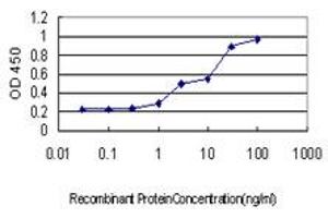 Detection limit for recombinant GST tagged YWHAG is approximately 0.