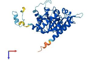 AlphaFold protein structure predicition of Mouse Recombinant Nubp1 Protein, UniprotID Q9R060