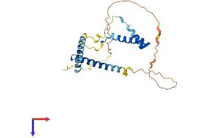 AlphaFold protein structure predicition of Mouse Recombinant Gemin8 Protein, UniprotID Q8BHE1
