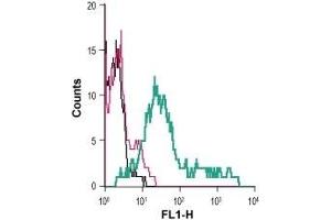 Cell surface detection of EAAT1 in live intact human MEG-01 megakaryoblastic leukemia cells: (black line) Cells.