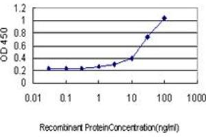 Detection limit for recombinant GST tagged LRRFIP1 is approximately 1ng/ml as a capture antibody. (LRRFIP1 anticorps  (AA 675-784))