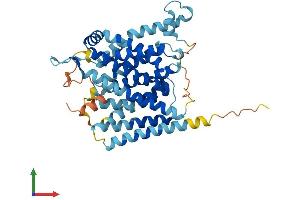AlphaFold protein structure predicition of Human Recombinant SLC35B2 Protein, UniprotID Q8TB61
