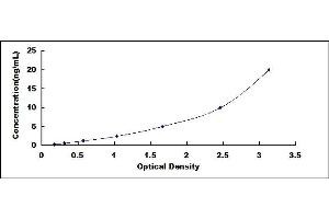 Typical standard curve (TUBB3 Kit ELISA)