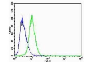 Flow cytometric analysis of A549 cells using CBX8 Antibody (C-term)(green, Cat(ABIN6242216 and ABIN6577075)) compared to an isotype control of mouse IgG1(blue).