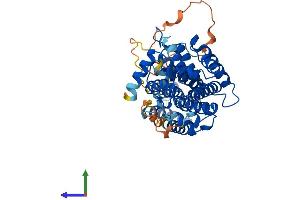AlphaFold protein structure predicition of Mouse Recombinant Rasgef1c Protein, UniprotID Q9D300