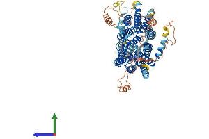 AlphaFold protein structure predicition of Mouse Recombinant Slco3a1 Protein, UniprotID Q8R3L5