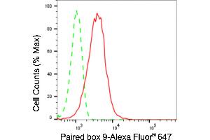 Flow cytometric analysis of Paired box 9 expression in HepG2 cells using Paired box 9 antibody (ABIN7799727), 1:2,000).