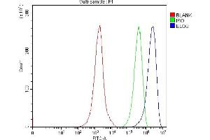 Flow Cytometry analysis of JK cells using anti-TCEB2/Elongin-B/ELOB antibody (ABIN7598964).