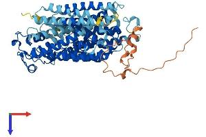 AlphaFold protein structure predicition of Human Recombinant SLC5A7 Protein, UniprotID Q9GZV3