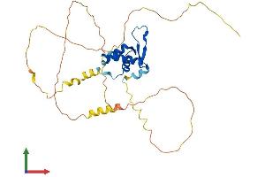 AlphaFold protein structure predicition of Human Recombinant FOXI2 Protein, UniprotID Q6ZQN5