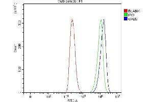 Flow Cytometry analysis of THP-1 cells using anti-GAB2 antibody (ABIN7600208).