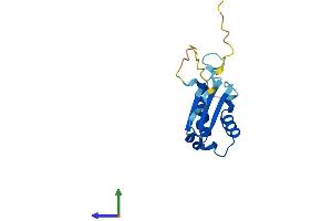 AlphaFold protein structure predicition of Human Recombinant BOLA1 Protein, UniprotID Q9Y3E2