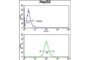 Flow cytometry analysis of HepG2 cells (bottom histogram) compared to a negative control cell (top histogram). (DCL1 anticorps  (AA 143-170))