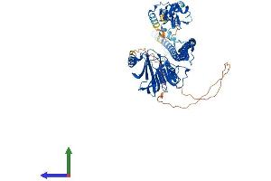 AlphaFold protein structure predicition of Human Recombinant TRIM25 Protein, UniprotID Q14258