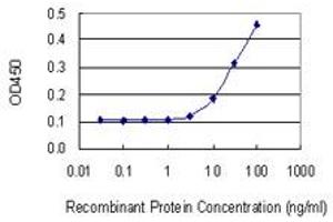 Detection limit for recombinant GST tagged HSF1 is 3 ng/ml as a capture antibody.