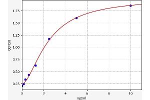 Typical standard curve (FAM20C Kit ELISA)