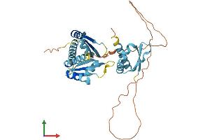 AlphaFold protein structure predicition of Human Recombinant PCBP1 Protein, UniprotID Q15365