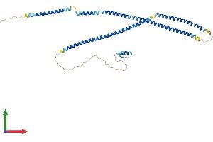 AlphaFold protein structure predicition of Mouse Recombinant Tnip2 Protein, UniprotID Q99JG7