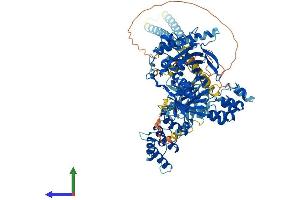 AlphaFold protein structure predicition of Human Recombinant OSBPL1A Protein, UniprotID Q9BXW6