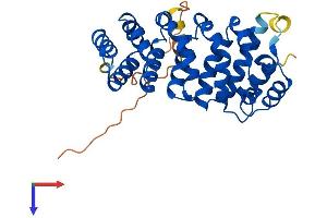 AlphaFold protein structure predicition of Mouse Recombinant Armc10 Protein, UniprotID Q9D0L7