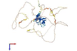 AlphaFold protein structure predicition of Human Recombinant AGFG2 Protein, UniprotID O95081
