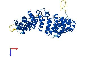 AlphaFold protein structure predicition of Mouse Recombinant Armc6 Protein, UniprotID Q8BNU0
