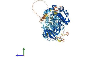 AlphaFold protein structure predicition of Mouse Recombinant Rps6ka3 Protein, UniprotID P18654